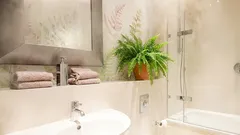 Huonekasvit, jotka voivat auttaa torjumaan korkeaa kosteutta asunnossa